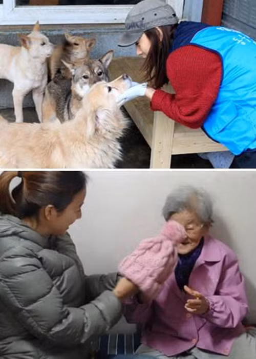 Nữ ca sĩ tham gia nhiều hoạt động từ thiện.