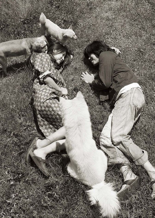 Vợ chồng Lee Hyori cùng nhau làm vườn, chăm sóc thú cưng.