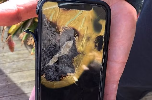 Apple bi kien vi iPhone X phat no, Apple Watch nong qua muc
