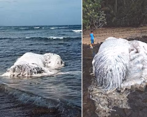 Bi an diem xau khi “quai vat bien” lien tiep dat vao bo-Hinh-3