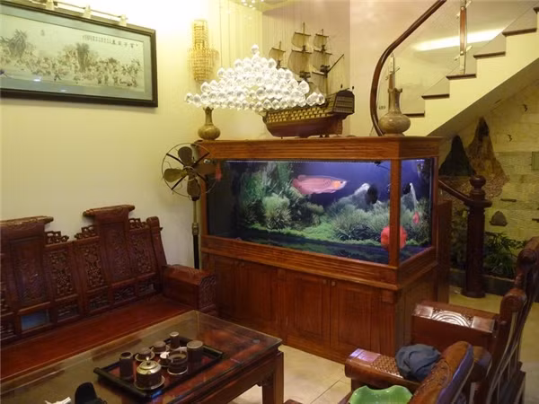 Giau chong mat nho dat chuan 5 vat nay trong phong khach-Hinh-5