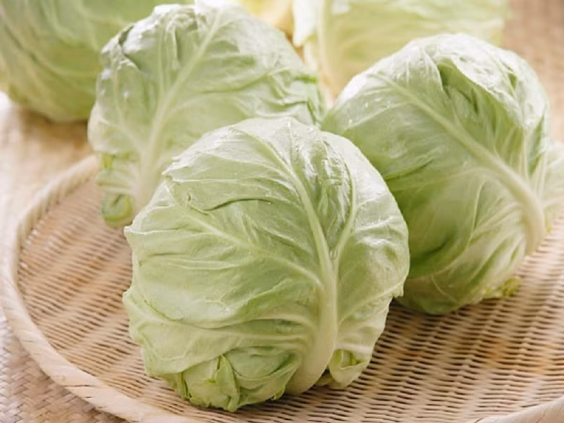 Bắp cải rất giàu hàm lượng kali có thể tăng tốc độ trao đổi chất của bạn, cho phép cơ thể đốt cháy các tế bào mỡ với tốc độ nhanh gấp nhiều lần. Ngoài ra bắp cải cũng rất giàu chất xơ giúp bổ sung năng lượng bị mất đi của cơ thể khi giảm cân.