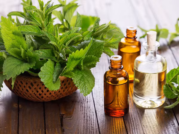 Dầu bạc hà. Dầu bạc hà có tác dụng giảm viêm đường ruột và làm dịu đường tiêu hóa. Uống trà bạc hà khi bị tiêu chảy giúp giảm đi phân lỏng và giảm khó chịu khi bị tiêu chảy.