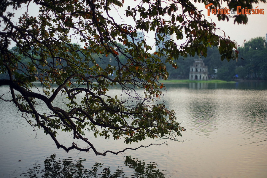 Năm 1428 khi đã lấy lại hoàn toàn được đất nước, lên làm vua, đóng đô ở Thăng Long, một hôm nhà vua ngự thuyền chơi trong hồ, bỗng thấy một con rùa vàng nổi lên.