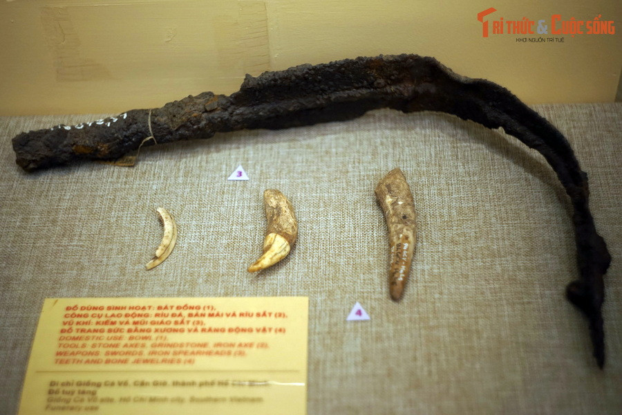 Các nhà nghiên cứu đánh giá, với những đặc trưng độc đáo về di tích, di vật và táng thức trong đó quan trọng nhất là phương thức hung táng trong mộ chum, di tích Giồng Cá Vồ đã chứa đựng những tiền đề cơ bản của một nền văn hóa khảo cổ. Ảnh: Lưỡi kiếm sắt và đồ trang sức bằng xương, răng ở Giồng Cá Vồ.