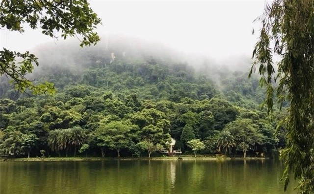 Hệ sinh thái đa dạng ở Vườn Quốc gia Cúc Phương