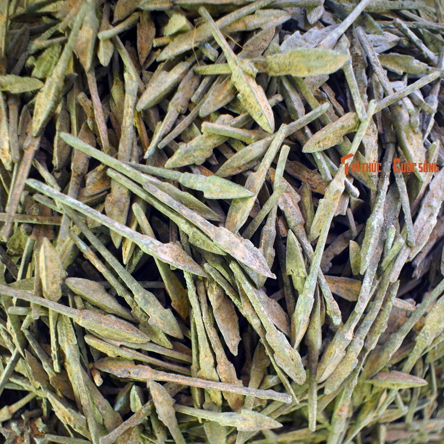 Chứng cứ đầu tiên phát lộ vào tháng 6/1959, khi một hố mũi tên đồng với số lượng lên tới hàng vạn chiếc đã được các công nhân vô tình tìm thấy khi đắp đường tại khu vực thành Cổ Loa – kinh đô của triều đại An Dương Vương xưa kia. Các mũi tên có chung đặc điểm: Đầu ba cạnh sắc, chuôi dài.