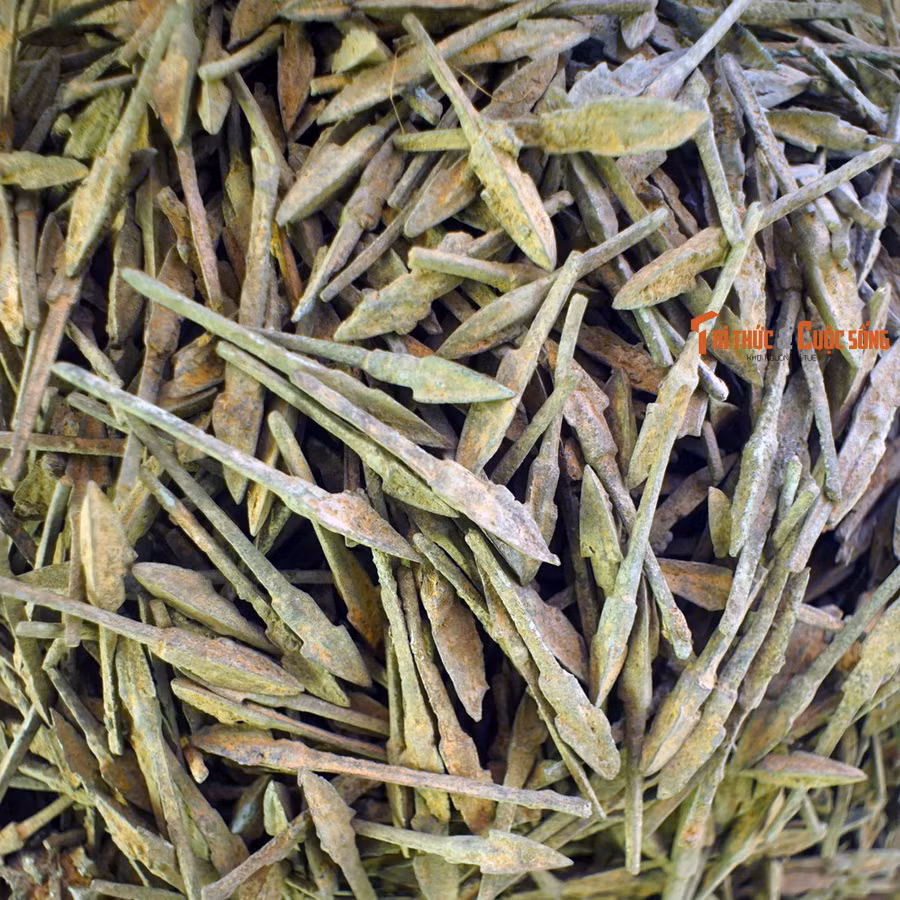Chứng cứ đầu tiên phát lộ vào tháng 6/1959, khi một hố mũi tên đồng với số lượng lên tới hàng vạn chiếc đã được các công nhân vô tình tìm thấy khi đắp đường tại khu vực thành Cổ Loa – kinh đô của triều đại An Dương Vương xưa kia. Các mũi tên có chung đặc điểm: Đầu ba cạnh sắc, chuôi dài.