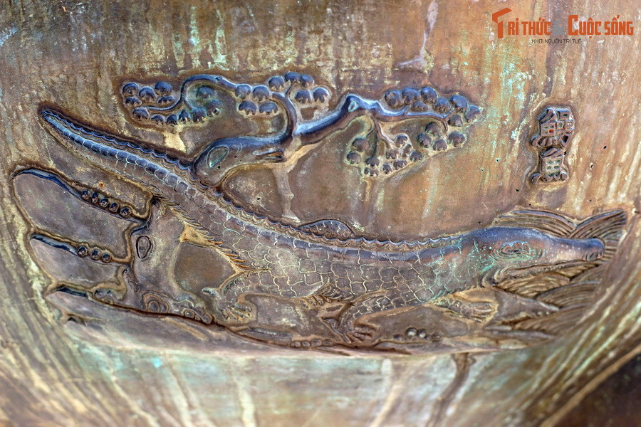 Hình cá sấu trên Cửu Đỉnh nhà Nguyễn ở Hoàng Thành Huế, niên đại 1835-1837. Việt Nam là nơi sinh sống của hai loài cá sấu, gồm cá sấu hoa cà và cá sấu Xiêm. Trong đó cá sấu hoa cà đã tuyệt chủng ngoài thiên nhiên, còn cá sấu Xiêm nằm trong diện cực kỳ nguy cấp trong Sách Đỏ.