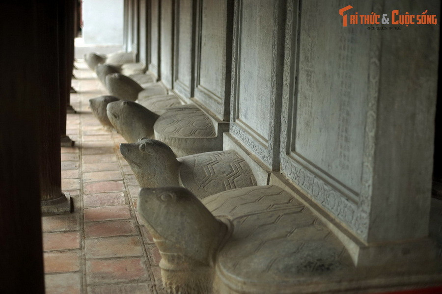 Hình tượng rùa đội bia Tiến sĩ ở Văn Miếu Quốc Tử Giám Hà Nội, niên đại từ năm 1442-1779. Tất cả các loài rùa bản địa của Việt Nam đều suy giảm nghiêm trọng về số lượng trong những năm gần đây, hầu hết nằm trong tình trạng nguy cấp hoặc cực kỳ nguy cấp trong Sách Đỏ.