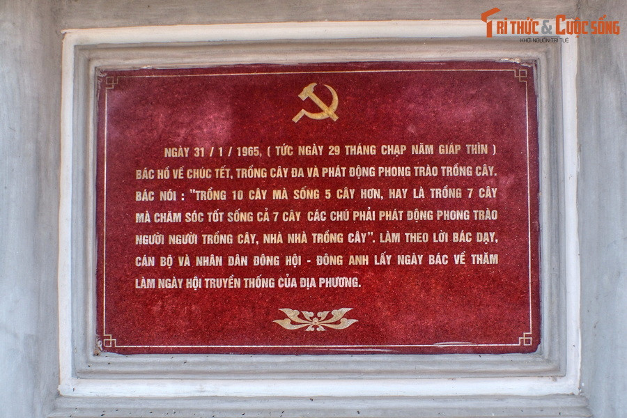 Sau ngày Bác Hồ mất, để tưởng nhớ Người, cán bộ và nhân dân Đông Hội, Đông Anh lấy ngày Bác về thăm làm ngày hội truyền thống. Địa điểm Bác trồng cây đa được gìn giữ như một di tích lịch sử cách mạng của địa phương.