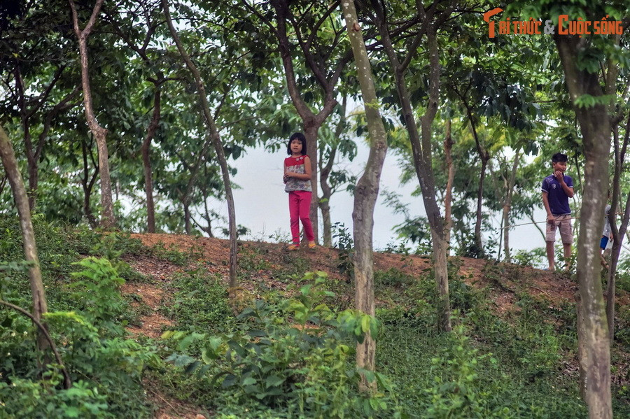 Theo truyền thuyết, thành Cổ Loa có 9 vòng xoáy trôn ốc. Căn cứ trên các vết tích, giới khoa học xác định thành có 3 vòng. Vòng ngoài chu vi 8 km, vòng giữa 6,5 km, vòng trong 1,6 km. Trong đó, vòng thành nội có thể đã được làm về sau, thời Ngô Quyền.