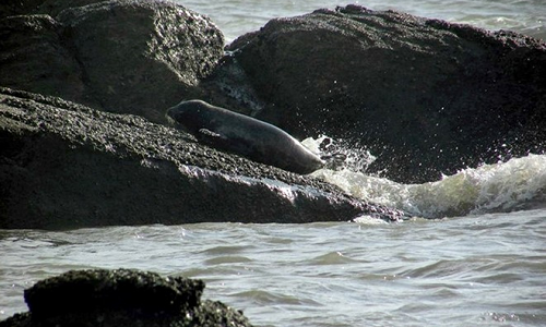 Hai cau xu lanh lien tuc xuat hien o vung bien Binh Thuan