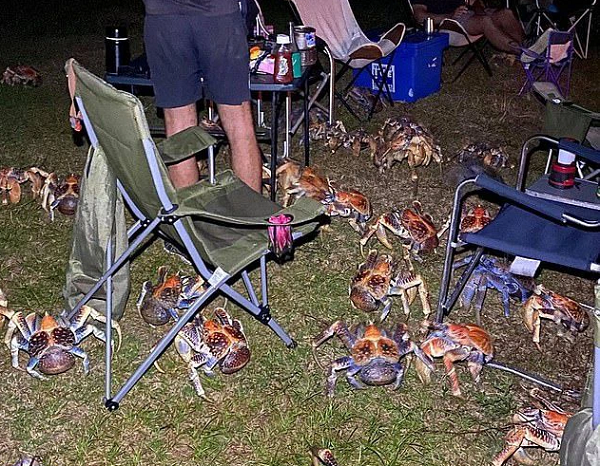 Huyền thoại, nhà tiên phong hàng không nổi tiếng thế giới này đã biến mất vào ngày 2/7 cùng với trợ lý Fred Noonan khi lái máy bay vòng quanh thế giới vào năm 1937. Nhiều giả thuyết đã cho rằng chiếc máy bay đã rơi ở Nikumaroro Island tại đảo quốc Kiribati ở Thái Bình Dương, Kumaroro Atoll.