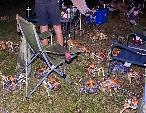 Huyền thoại, nhà tiên phong hàng không nổi tiếng thế giới này đã biến mất vào ngày 2/7 cùng với trợ lý Fred Noonan khi lái máy bay vòng quanh thế giới vào năm 1937. Nhiều giả thuyết đã cho rằng chiếc máy bay đã rơi ở Nikumaroro Island tại đảo quốc Kiribati ở Thái Bình Dương, Kumaroro Atoll.