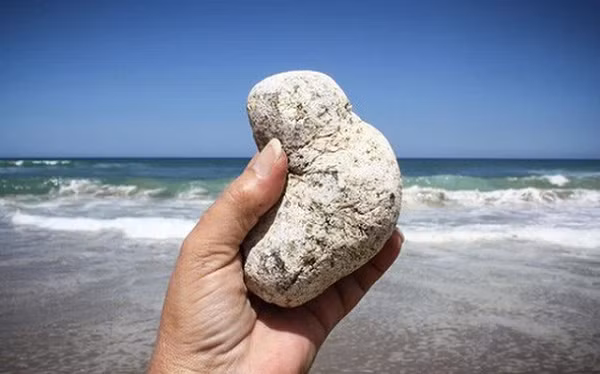 Thời gian diễn ra quá trình oxy hóa quyết định chất lượng và giá trị của long diên hương. Nhà thu mua long diên hương nổi tiếng người Pháp Bernard Perrin ví nó như một loại rượu ngon, càng để lâu càng trở nên hảo hạng.