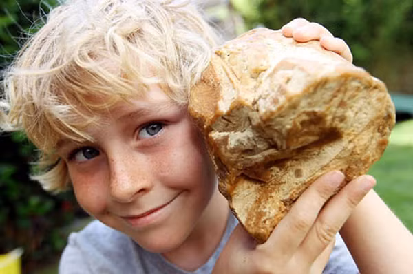 Ambrein, một thành phần hóa học của long diên hương, được sử dụng trong ngành công nghiệp nước hoa nhằm kích thích khứu giác và kéo dài mùi hương. Đây cũng là nguyên liệu điều chế nước hoa Chanel số 5 nổi tiếng.