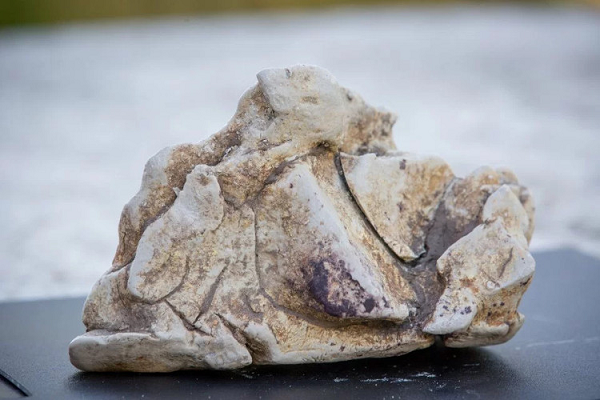 Long diên hương là thứ nguyên liệu thô kỳ diệu. Thật khó để so sánh nó với bất kỳ loại hương liệu nào khác và đó cũng là lý do tại sao loài người đã theo đuổi nó hàng nghìn năm nay. Mời các bạn xem video: Khung cảnh thiên nhiên tuyệt đẹp tại các quốc gia ít dân nhất thế giới. Nguồn: VTC