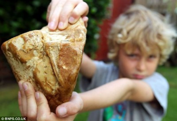 Long diên hương là một nguyên liệu giá trị được dùng làm thuốc và nước hoa. Khi quá trình oxy hóa làm nước và không khí bốc hơi khỏi khối chất bài tiết, long diên hương tiết ra mùi tương tự như thuốc lá hoặc lớp phủ bên ngoài cây.