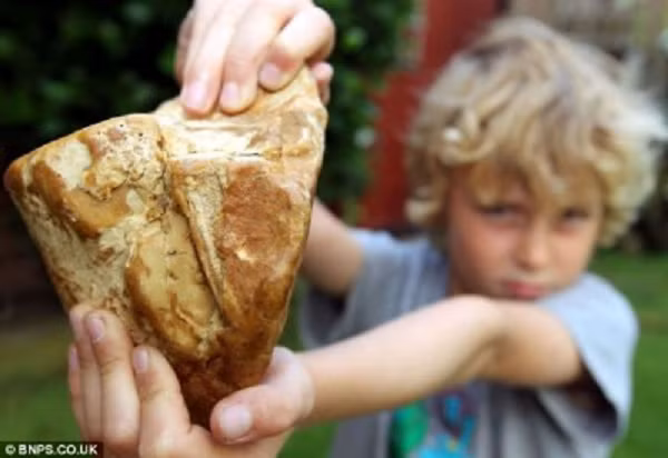 Long diên hương là một nguyên liệu giá trị được dùng làm thuốc và nước hoa. Khi quá trình oxy hóa làm nước và không khí bốc hơi khỏi khối chất bài tiết, long diên hương tiết ra mùi tương tự như thuốc lá hoặc lớp phủ bên ngoài cây.