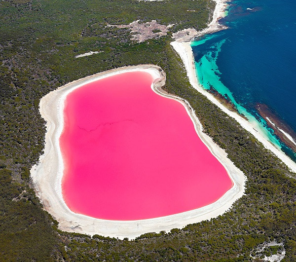 Chiếc hồ màu hồng có tên Hillier độc đáo này được phát hiện vào năm 1802 trên hòn đảo lớn nhất, thuộc quần đảo Recherche, Tây Úc. Nước hồ có màu hồng đậm quanh năm và một số nhà khoa học cho biết, màu sắc này được tạo ra do độ mặn cao của nước hồ khiến tảo ưa mặn Dunakiella salina và vi khuẩn màu hồng Halobacteria phát triển mạnh mẽ.