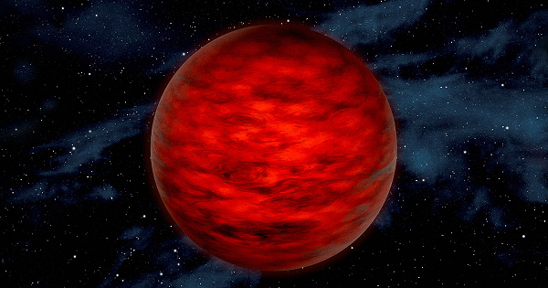 Hiện ngôi sao lùn này đang cách Trái đất khoảng 50 năm ánh sáng. Các nhà khoa học từ Viện Công nghệ California và NASA (Mỹ) đã phân tích và phát hiện ra rằng nó không giống bất kỳ sao lùn nâu nào được tìm thấy trước đây.