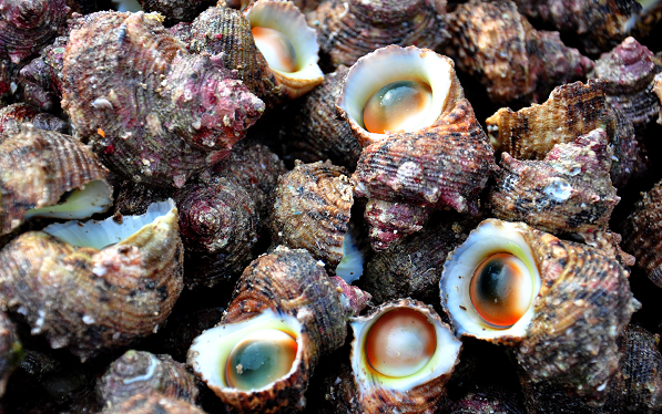 Viên ngọc của cô Trần tìm được khi ăn ốc nặng tầm 2,6 carat. Vị chuyên gia này còn ngỏ lời muốn mua lại viên ngọc của cô nhưng cô Trần đã khéo léo từ chối. Mời các bạn xem video: Khung cảnh thiên nhiên tuyệt đẹp tại các quốc gia ít dân nhất thế giới. Nguồn: VTC.