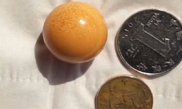 Khi chiếu dưới ánh đèn pin sẽ phát sáng. Vì thắc mắc không biết đây là gì nên cô đăng video lên mạng hỏi bạn bè xem có ai đoán được hay không. Rất nhiều người cho rằng đây chính là ngọc ốc xà cừ, hay còn được gọi là ngọc trai hồng.