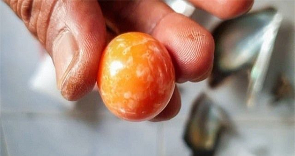 Ngọc ốc xà cừ (Queen Conch) hay còn được gọi là "ngọc trai hồng" là một trong những loại ngọc hiếm nhất và có giá trị nhất trên thế giới bởi cho đến nay mọi nỗ lực nuôi cấy ngọc ốc xà cừ đều thất bại, vì thế tất cả các viên ngọc đều là ngọc tự nhiên.