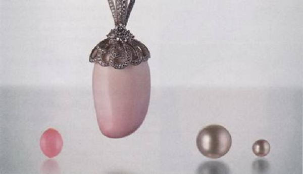 Ngọc ốc xà cừ chủ yếu được tạo bởi loại ốc xà cừ Nữ hoàng (Queen Conch) có tên khoa học là Strombus Gigas. Ban đầu, ốc xà cừ được biết đến như một nguồn thực phẩm giá trị cho dân địa phương, nhưng sau đó người ta đã nhanh chóng phát hiện ra vẻ đẹp tiềm ẩn nằm sau lớp vỏ xù xì, thô ráp.