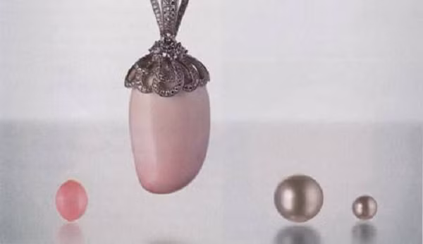 Ngọc ốc xà cừ chủ yếu được tạo bởi loại ốc xà cừ Nữ hoàng (Queen Conch) có tên khoa học là Strombus Gigas. Ban đầu, ốc xà cừ được biết đến như một nguồn thực phẩm giá trị cho dân địa phương, nhưng sau đó người ta đã nhanh chóng phát hiện ra vẻ đẹp tiềm ẩn nằm sau lớp vỏ xù xì, thô ráp.