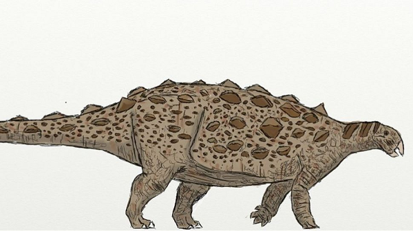 Trước đây người ta nghĩ stegosaur gần tuyệt chủng rồi ankylosaur mới ra đời, nhưng hóa thạch 168 triệu tuổi này cho thấy 2 loài đã cùng tồn tại trong 20 triệu năm và có thể đã cạnh tranh khốc liệt với nhau.