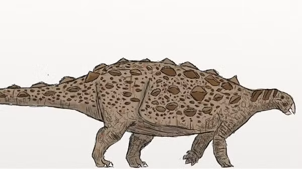 Trước đây người ta nghĩ stegosaur gần tuyệt chủng rồi ankylosaur mới ra đời, nhưng hóa thạch 168 triệu tuổi này cho thấy 2 loài đã cùng tồn tại trong 20 triệu năm và có thể đã cạnh tranh khốc liệt với nhau.