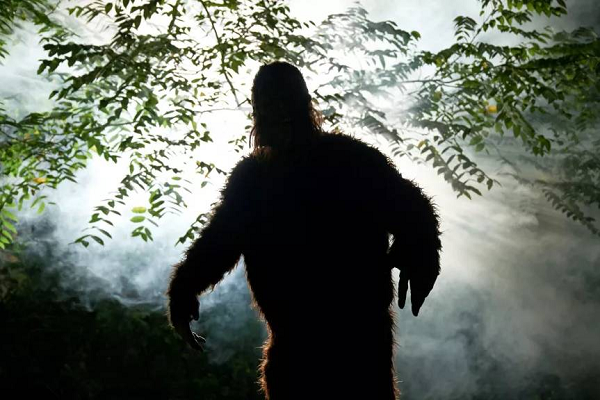 Ông đã chạy lên một tháp canh nhưng con Bigfoot vẫn có thể tiếp cận. Mọi thứ xung quanh đều mù mờ, Shane đột nhiên cảm thấy có thứ gì đó túm lấy gót giày bên trái.