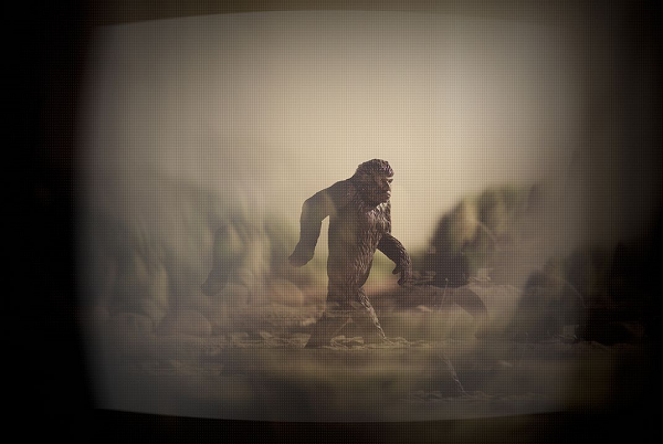 Ngoài ra, Shane khẳng định kích thước của sinh vật là "không thể tin được", nói: "Bigfoot nắm lấy gót chân tôi chỉ bằng một tay, ước chừng nó phải cao khoảng 5m."