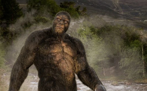 Mới đây, tác giả và nhà nghiên cứu W.J. Sheehan (được biết đến với tên Bill), đã chia sẻ một câu chuyện về Bigfoot trên podcast Forest Fleur. Một người đàn ông đã viết thư cho ông, kể chi tiết về cuộc gặp gỡ đáng sợ.