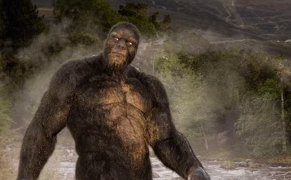 Mới đây, tác giả và nhà nghiên cứu W.J. Sheehan (được biết đến với tên Bill), đã chia sẻ một câu chuyện về Bigfoot trên podcast Forest Fleur. Một người đàn ông đã viết thư cho ông, kể chi tiết về cuộc gặp gỡ đáng sợ.