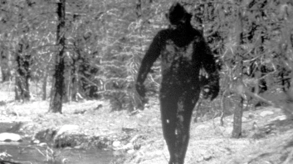 Hầu hết những lần nhìn thấy Bigfoot diễn ra ở khu vực Tây Bắc nước Mỹ và sinh vật này có thể liên quan đến các thần thoại bản địa và truyền thuyết về những người thổ dân.