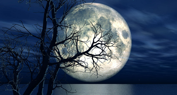 Sở dĩ như vậy là do Mặt Trăng vừa quay quanh mình nó, vừa quay quanh Trái đất. Thời gian tự quay một vòng đúng bằng thời gian chuyển động quanh trái đất (27,3 ngày). Bởi vậy Mặt Trăng mãi mãi chỉ hướng một mặt về Trái đất.