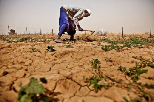 Hệ thống lương thực toàn cầu là nguyên nhân gây ra tới 1/3 tổng lượng khí thải nhà kính do con người gây ra, trong đó 30% đến từ chăn nuôi và thủy sản. Sản xuất cây trồng thải ra khí nhà kính như nitơ oxit thông qua việc sử dụng phân bón.