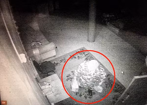 Lạt Ma Damba Ayusheev, Hội trưởng Hội Phật giáo Truyền thống tin rằng, đó chính là Lạt ma Dashi Dorzho đang ngụy trang để trở về cầu nguyện cho các Phật tử.