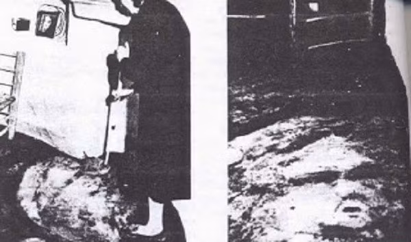 Chưa hết kinh sợ vì những khuôn mặt liên tục xuất hiện và “biết nói”, các nhà khoa học cũng như chủ nhà Maria đã phải chứng kiến tiếp một hiện tượng kinh hoàng nữa đó là các gương mặt trên nền nhà hình như còn biết di chuyển.