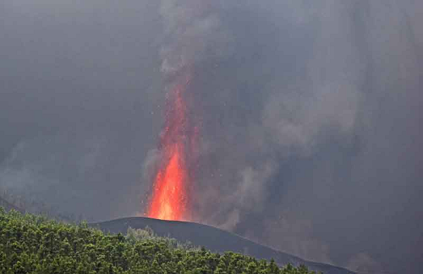 Dòng dung nham cực nóng của núi lửa Cumbre Vieja đã thiêu rụi mọi thứ trên đường đi của nó, bao gồm cả nhà cửa, trường học, đồn điền sản xuất và xuất khẩu chuối lớn nhất của hòn đảo.