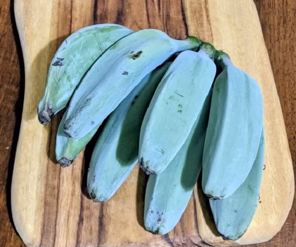 Điều khiến ai nấy cũng thấy "vi diệu" đó chính là chuối Blue Java có... hương vị y hệt như kem vanilla. Kết cấu của chuối Blue Java chín mềm mịn như kem, chỉ thiếu độ lạnh.