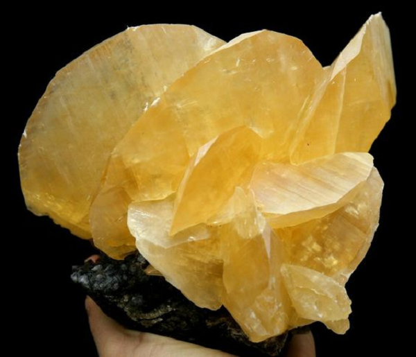 Theo vị chuyên gia nọ, những viên đá Canxit của anh chàng tuy không có nhiều giá trị nhưng xét về hình dáng cũng rất đẹp, chàng trai có thể giữ chúng lại để trưng bày. Mời các bạn xem video: Khung cảnh thiên nhiên tuyệt đẹp tại các quốc gia ít dân nhất thế giới. Nguồn: VTC.