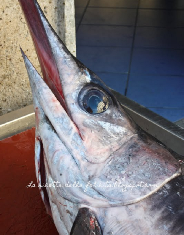 Trong khi cá kiếm là loài động vật máu lạnh thì chúng lại có các cơ quan đặc biệt bên cạnh mắt của chúng để làm ấm mắt và não. Người ta đã đo được nhiệt độ cao hơn khoảng 10-15 C° so với nhiệt độ của nước bao quanh.