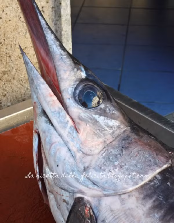 Trong khi cá kiếm là loài động vật máu lạnh thì chúng lại có các cơ quan đặc biệt bên cạnh mắt của chúng để làm ấm mắt và não. Người ta đã đo được nhiệt độ cao hơn khoảng 10-15 C° so với nhiệt độ của nước bao quanh.