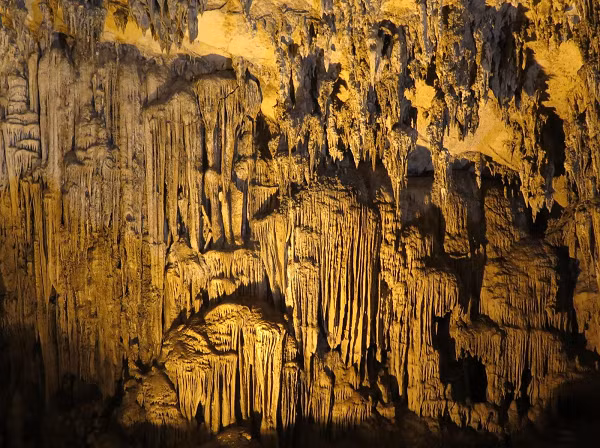 Giọt nước từ trần và vú đá rơi xuống vẫn còn chứa canxi cacbonat nên ở chỗ rơi xuống có sự kết tủa canxi và hình thành măng đá.