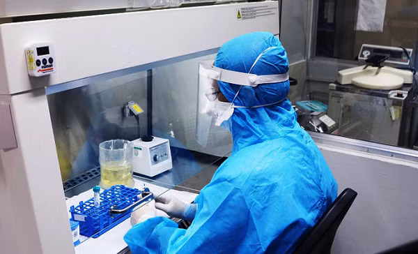 Những biến chủng của virus SARS CoV-2 có đột biến ở phần protein gai gắn trên vỏ ngoài của chúng. Nếu có sự thay đổi đáng kể đối với protein gai, có khả năng vắc xin sẽ có hiệu quả thấp hơn đối với virus.