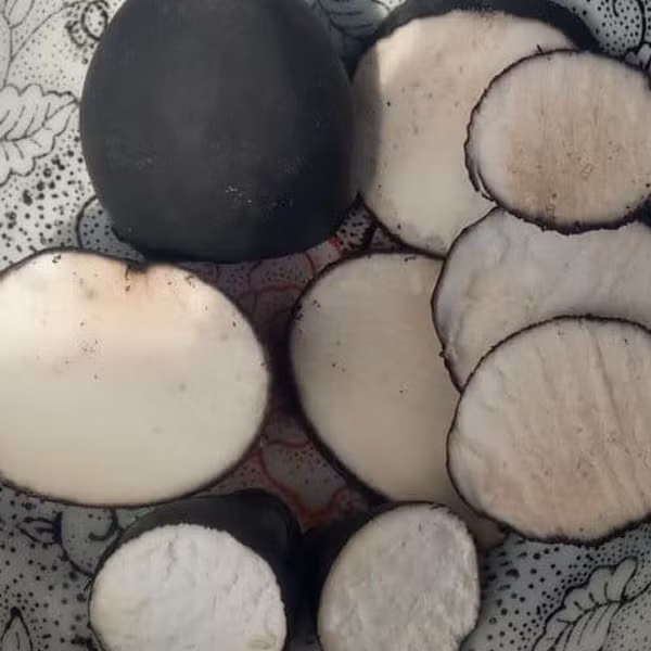 Hơn nữa, trong sâm Ô linh có chứa nhiều nguyên tố vi lượng như polysacarit, protein, sắt, mangan và selenium tin. Hoạt chất Selenium có thể ức chế tế bào ung thư và có tác dụng chống ung thư.